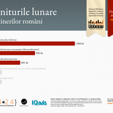 venituri_19_24_cu_ocupatie